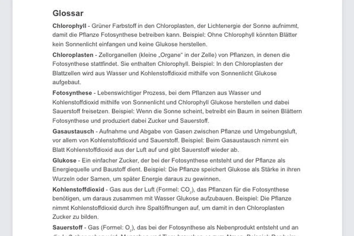 Glossar von KI Schulgenie zeigt schwierige Begriffe aus einem Text mit altersgerechten Erklärungen